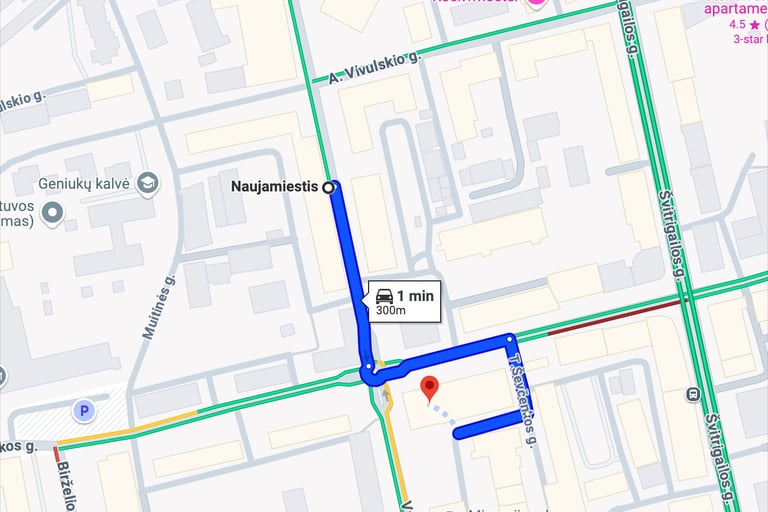 eimantasphoto fotografas naujamiestyje