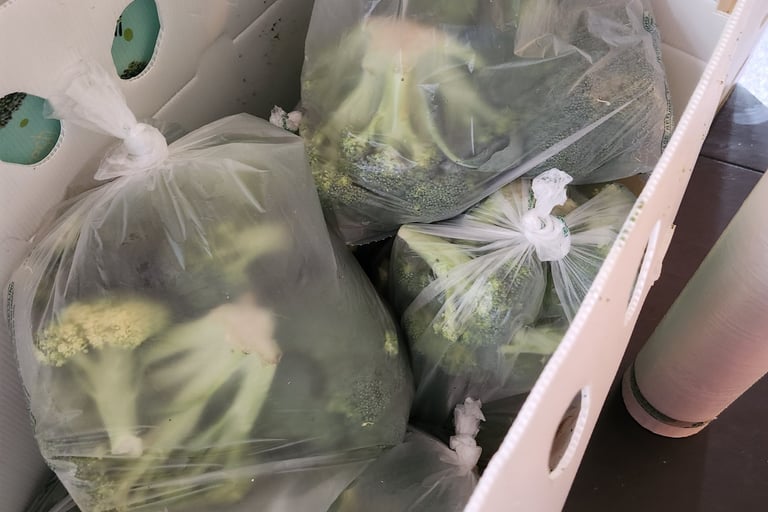 Bags of broccoli 