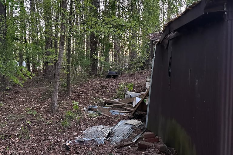 After Tree & Stump have been removed off a shop.