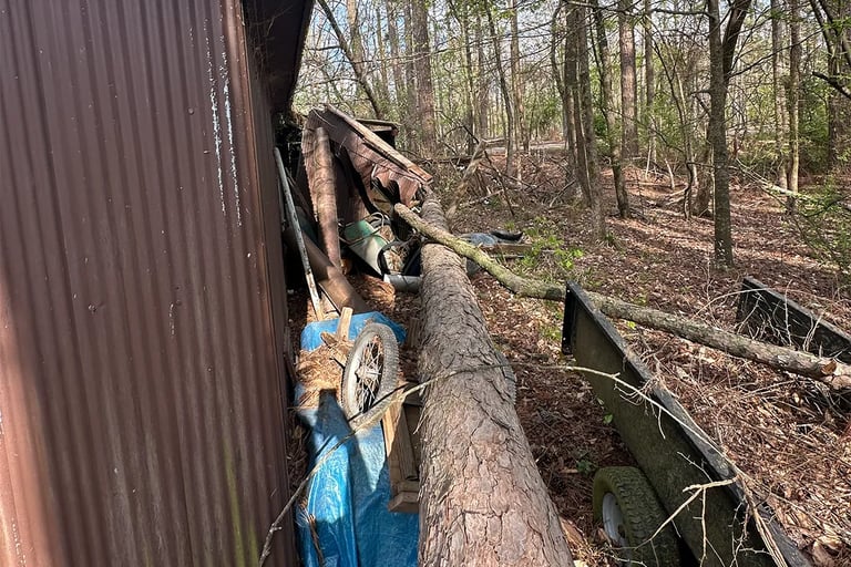 Tree fell after a ice storm on a shop.