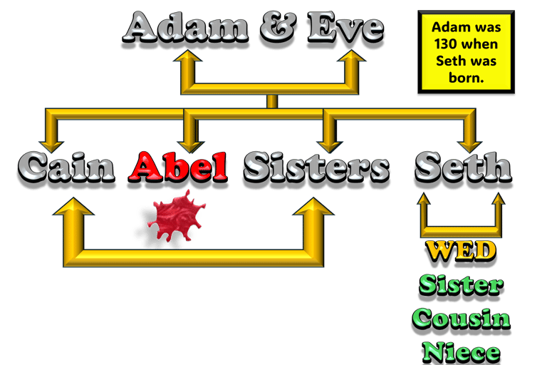 Cain murdered Abel in this Adam and Eve family tree