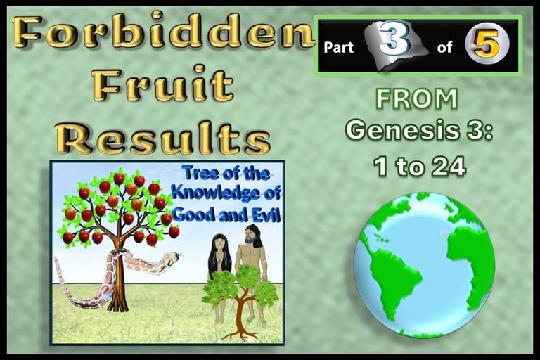 Forbidden Fruit Results - from Genesis 3 v 1-24 - Role-play re-told by Debbie Dunn