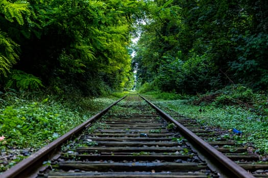 Straight railways tracks surrounded by greenery