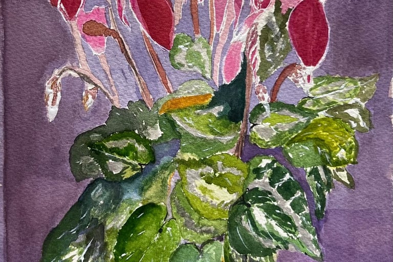 Flames of passion and love-Cyvlamen in watercoloyr