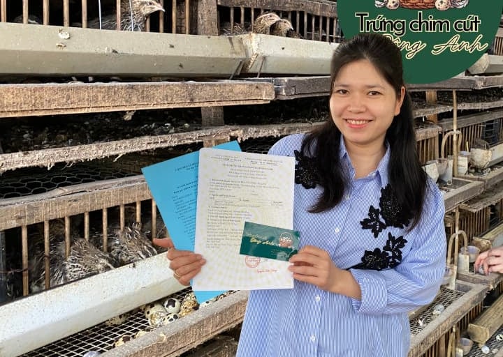 trứng chim cút bóc sẵn Đông Anh, Hà Nội, chim cút thịt, chim câu thịt giá sỉ