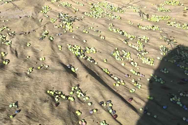 a bench with a bench and a bench in the background