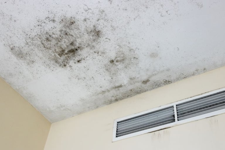 black mold on a ceiling