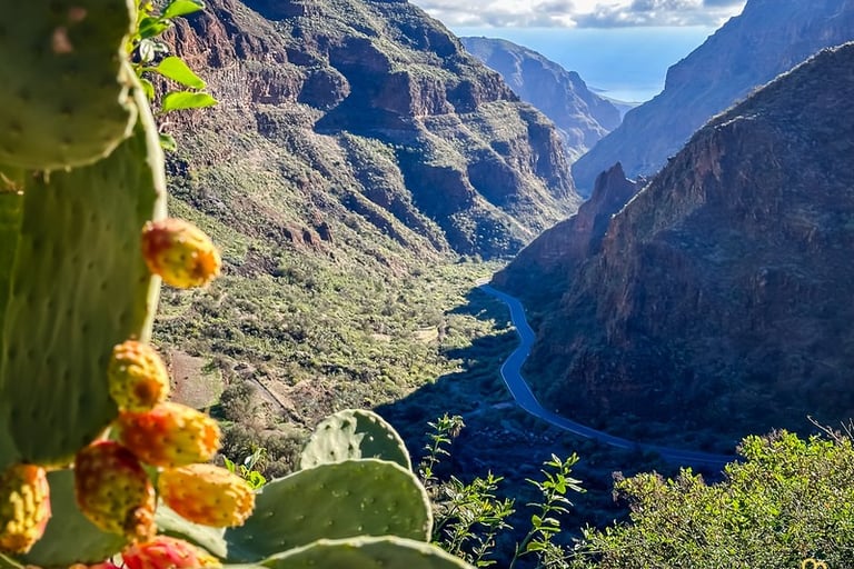 Barranco de Guayadeque