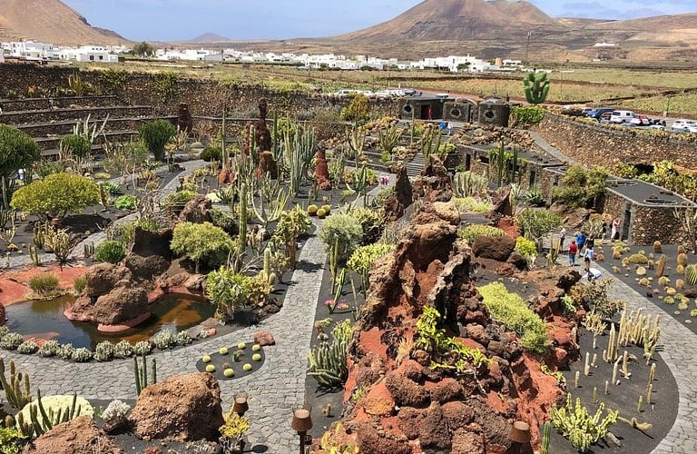 Jardín de cactus