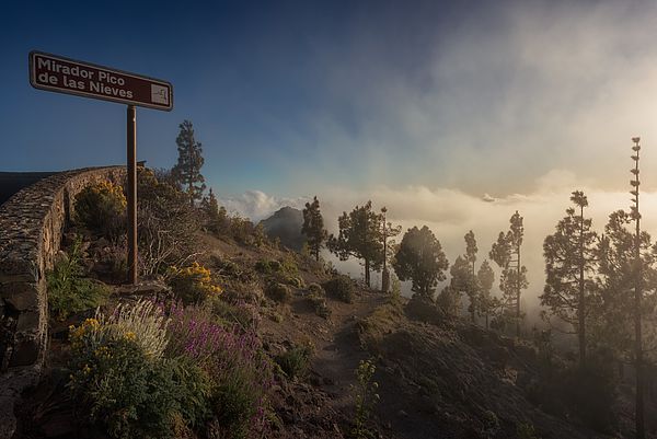 Pico de las Nieves