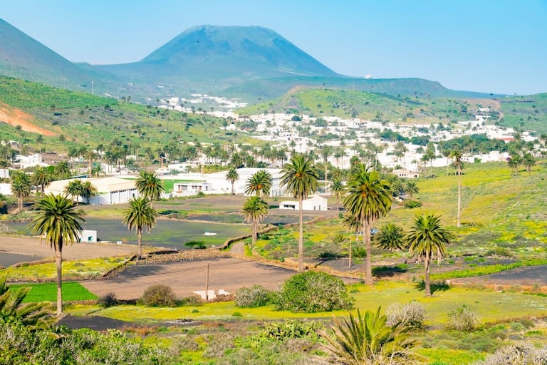Valle de las Mil Palmeras