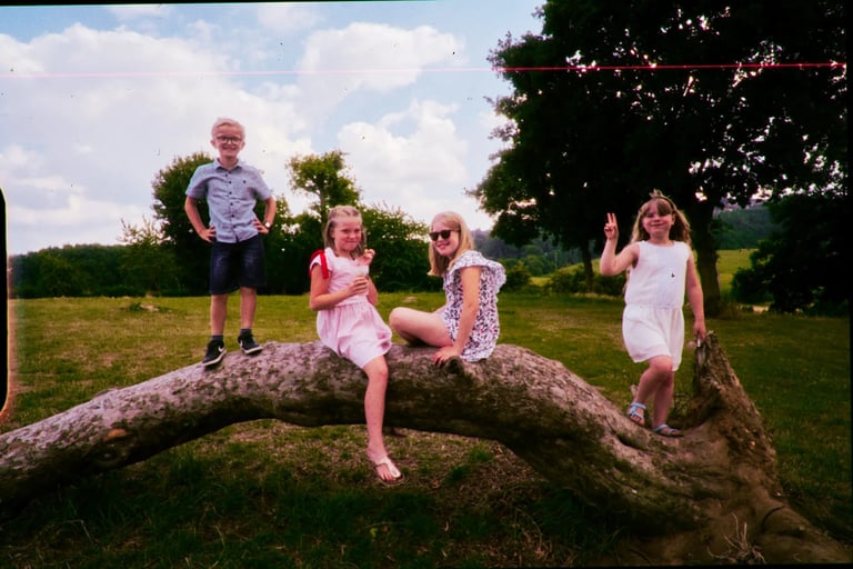 Enfants sur la branche | rollbak | Photographe mariage Lille - Dunkerque - Arras