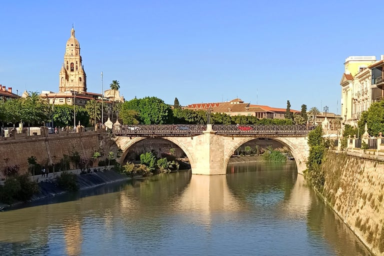 View of Murcia with the tower of the cathedral and the old bridge