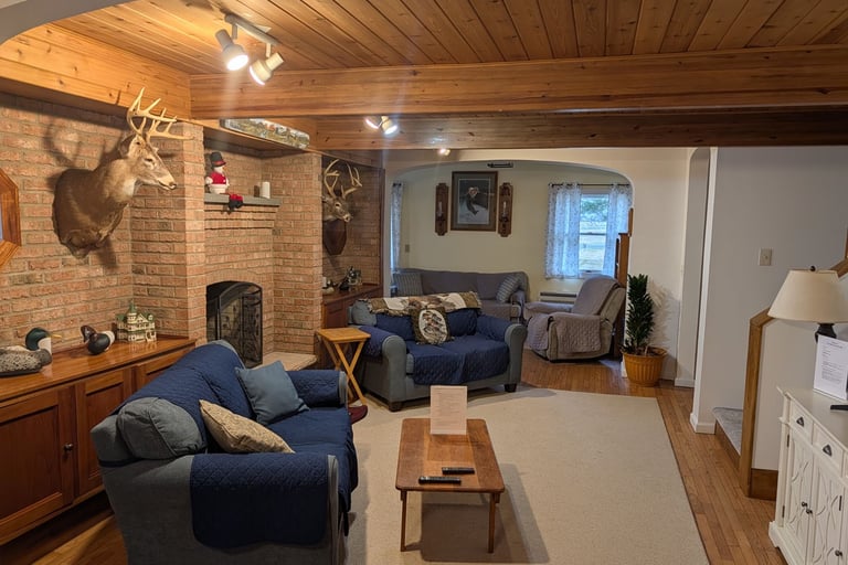 Rustic living room featuring blue seating, wood-paneled ceilings, and a traditional brick fireplace.