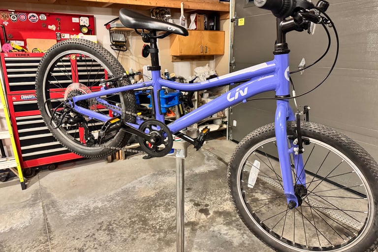 20" purple bike on bike stand