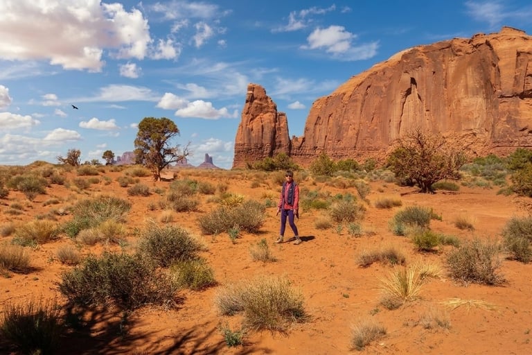 A classic view from The Hub: The Totem Pole and Hunts Mesa