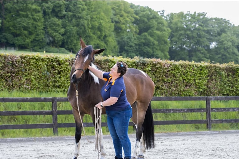 Une femme qui caresse un cheval pie dans une carrière