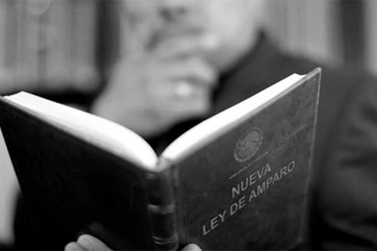 Amparo, Consultoría Legal, Firma De Abogado, Servicios Legales