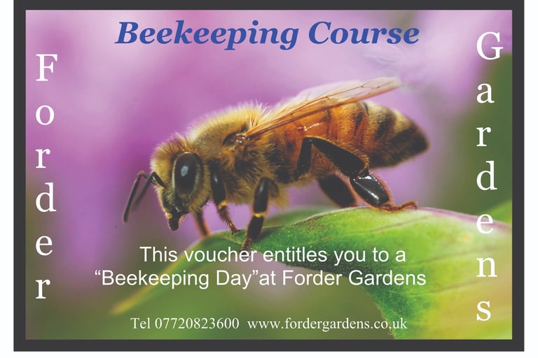 Bees , Forder gardens