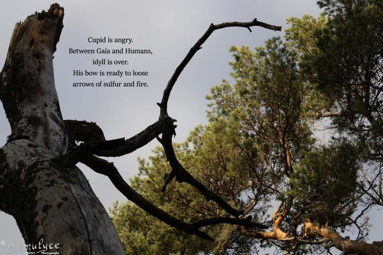 Cupid - When Photographs Speak by Ormulyce