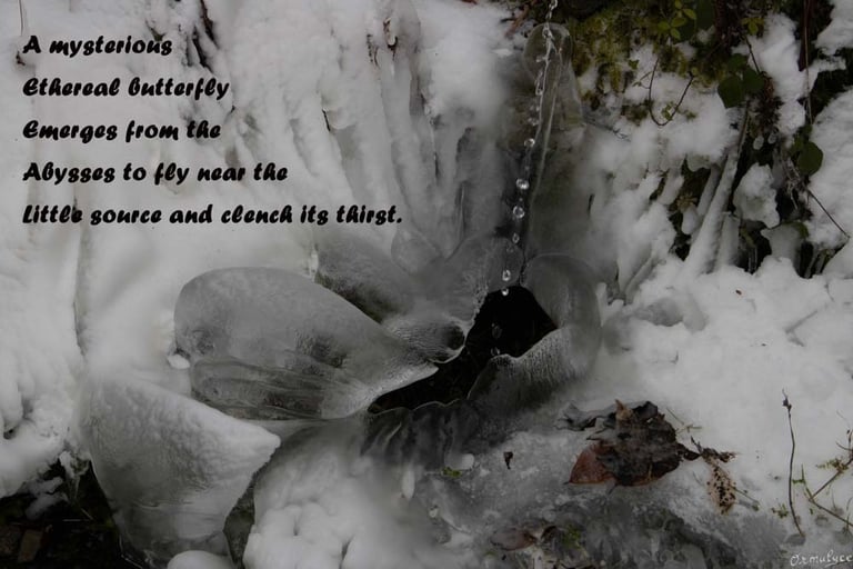 Ethereal Butterfly by Ormulyce