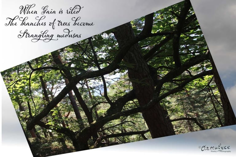 Medusa by Ormulyce - writer poet photographer