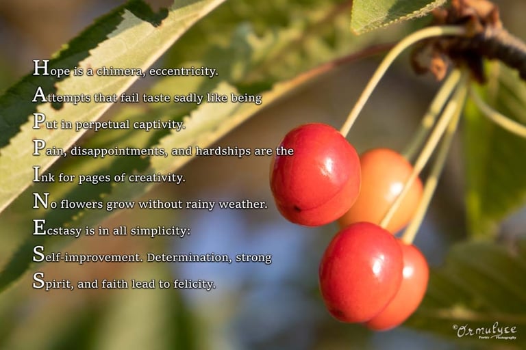 Happiness Acrostic by Ormulyce - writer poet photographer