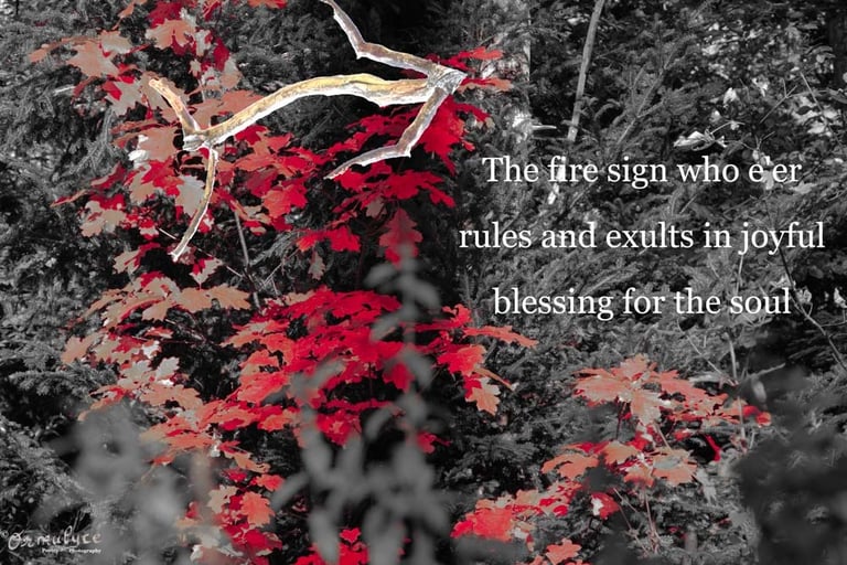 Fire Sign - composition by Ormulyce  - writer poet photographer
