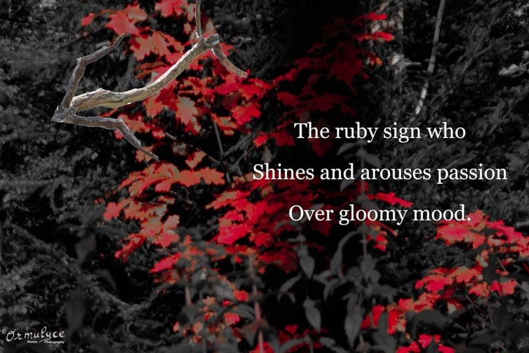 Ruby Sign - composition by Ormulyce  - writer poet photographer