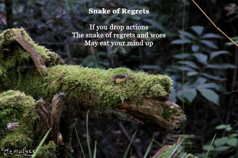 Snake of Regrets by Ormulyce - writer poet photographer