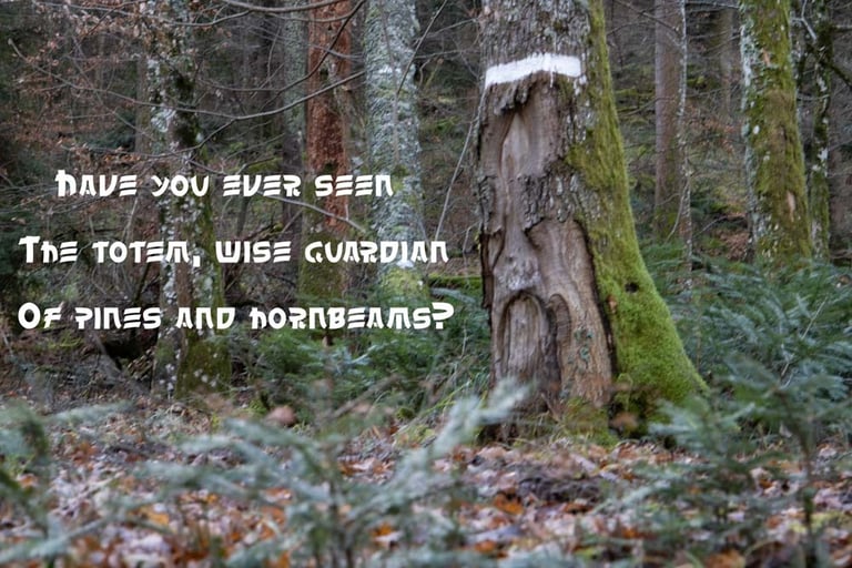 Strange Totem  by Ormulyce - writer poet photographer