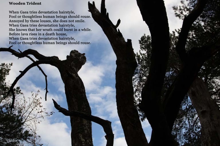 Wooden Trident by Ormulyce  - writer poet photographer