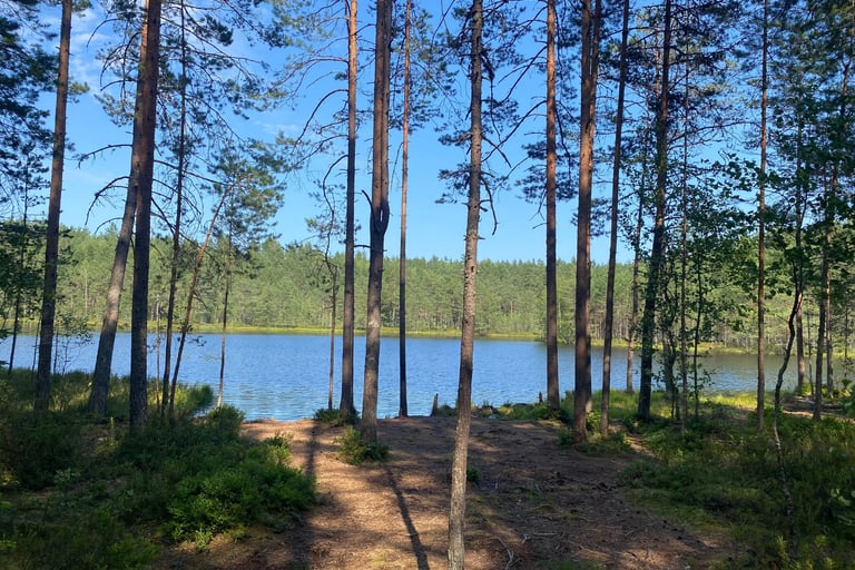 Estonia - Lake
