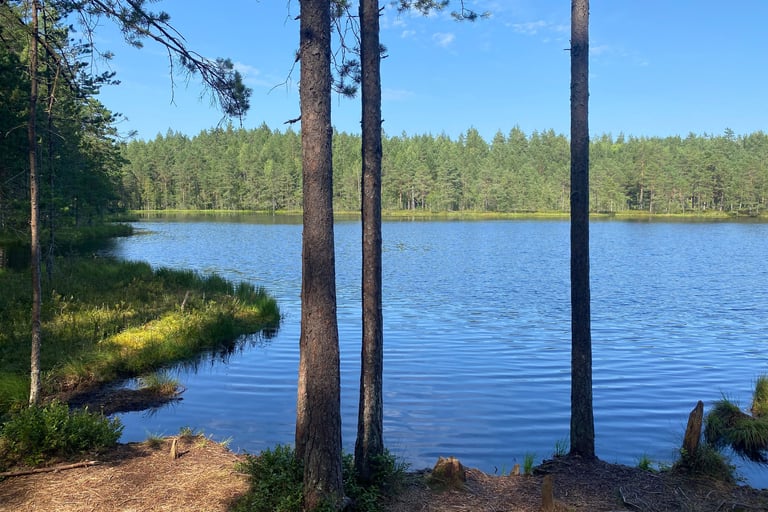 Estonia - Lake
