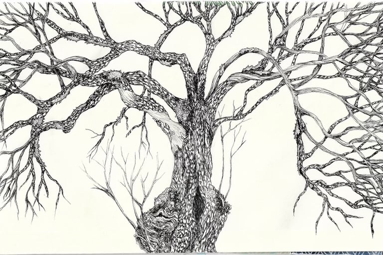 drawing by Sam Jones