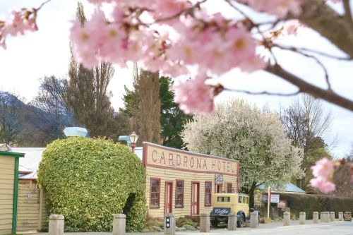 cardrona hotel