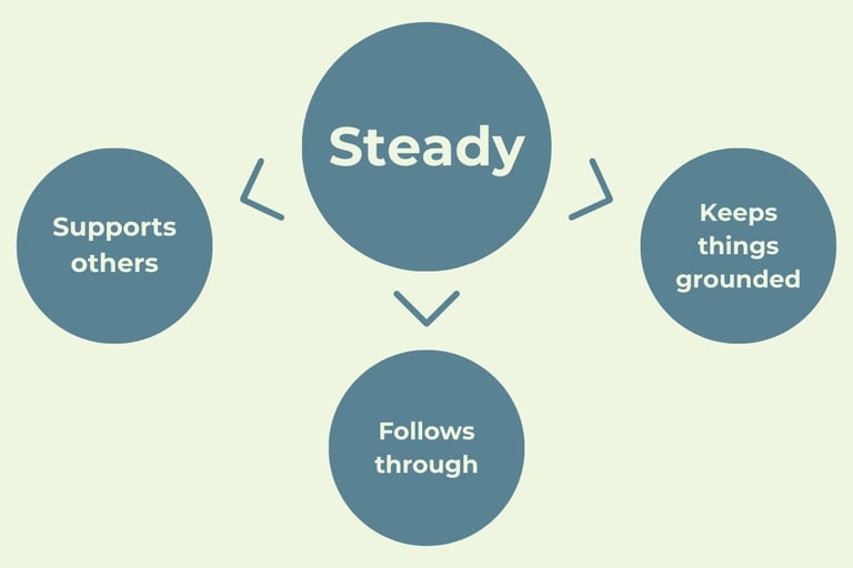 Diagram showing 'Steady' personality traits: supports others, follows through, and keeps things grounded.
