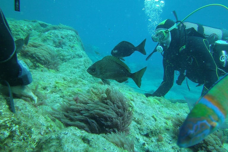 Buceo en Las Galletas