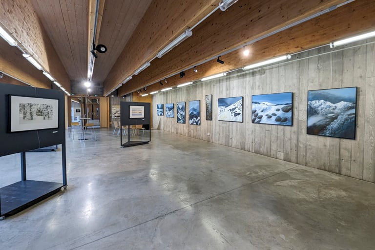 exposition Vincent Ganaye, Maison de la Bresse 2024
