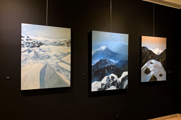 exposition vincent ganaye au GAV 2024