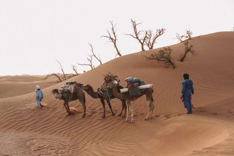 trekking in chigaga desert zagora - soul of nomads