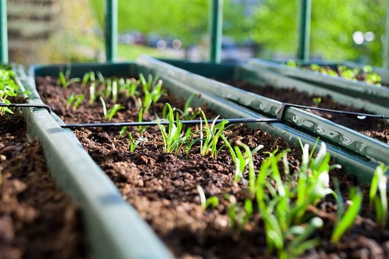 cursos de  huerto urbano