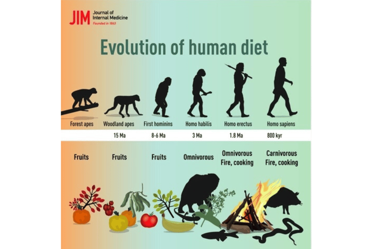 Illustration of the human evolutionary diet.
