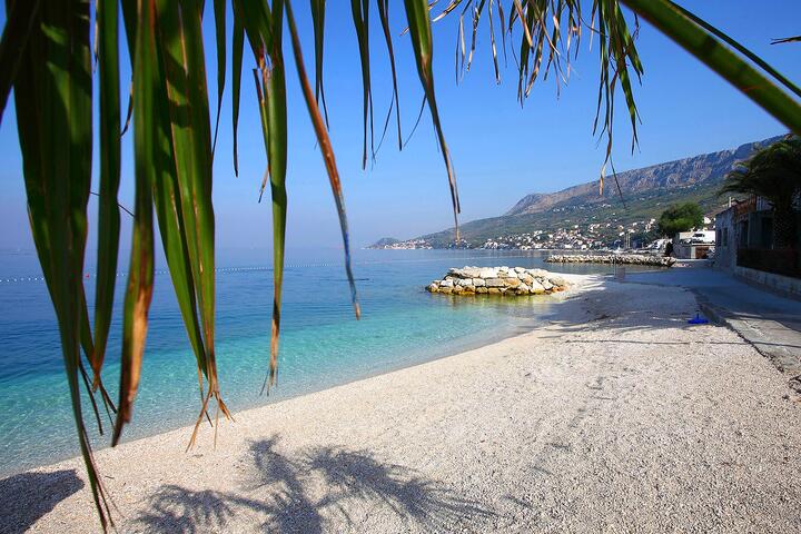 Mali Rat beach with a palm tree and a boat in the water