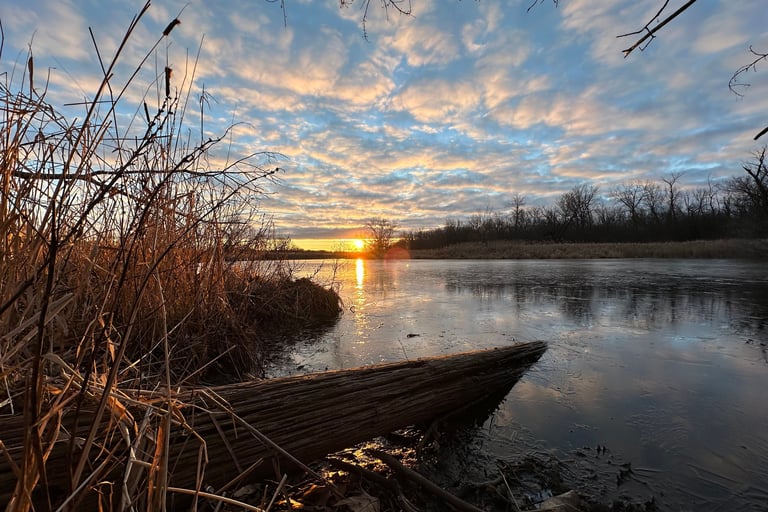 Calming Nature