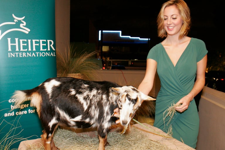 LA PREMIERE OF HEIFER INTERNATIONAL'S "12 STONES"