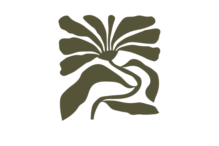 Créatrice florale Perpignan fleurs fraiches fleurs séchées