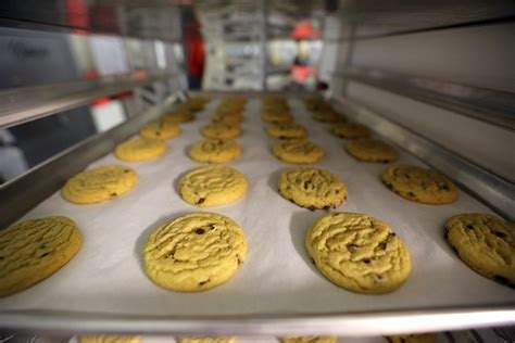 Freshly baked chocolate chip cookies cooling on a parchment-lined baking sheet in a bakery rack.