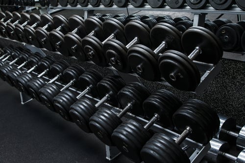 a row of dumbbells in a gym