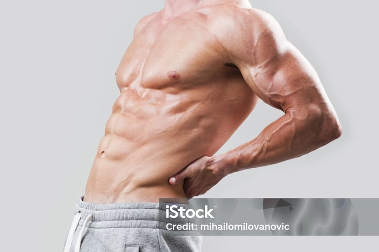 a man with a muscular body and a shirtless torso